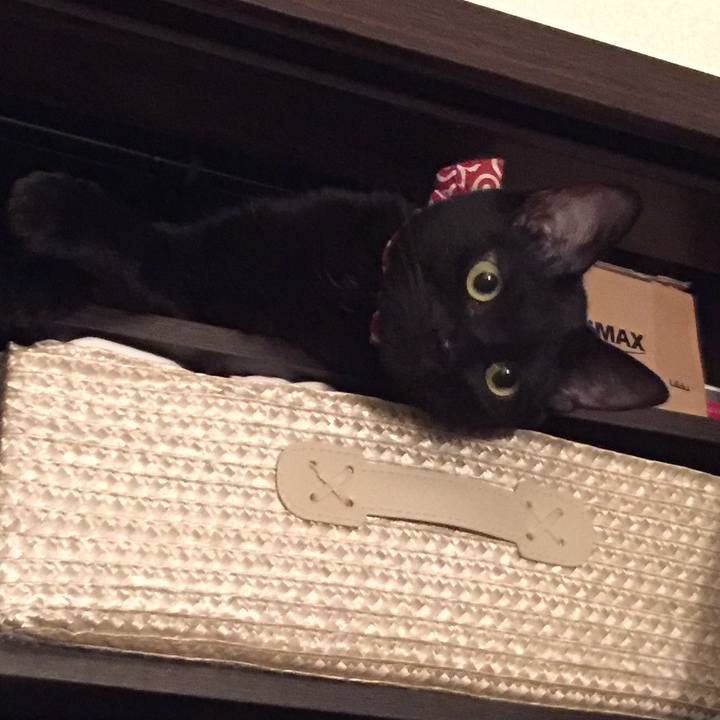 Cf27ad94 b716 47a0 b9ec b1c69f45f27a