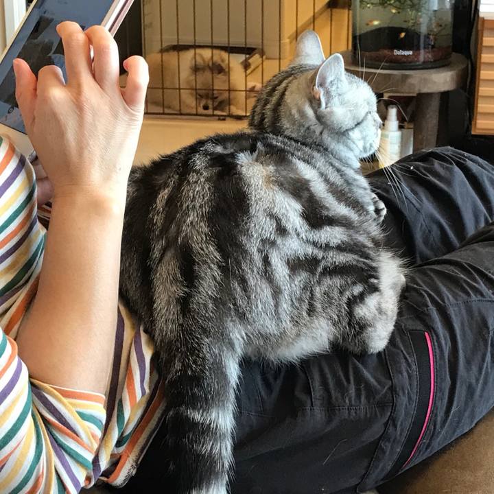 Cf27cecd 6e61 418d 9e5a fa42c94dc436