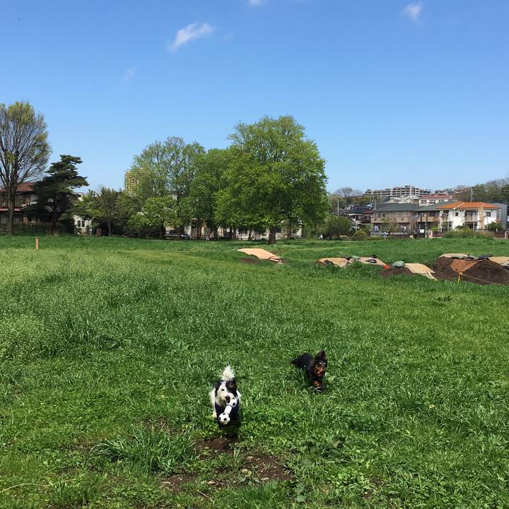 Cf28223b 97d8 4af9 afb2 85372f49a260