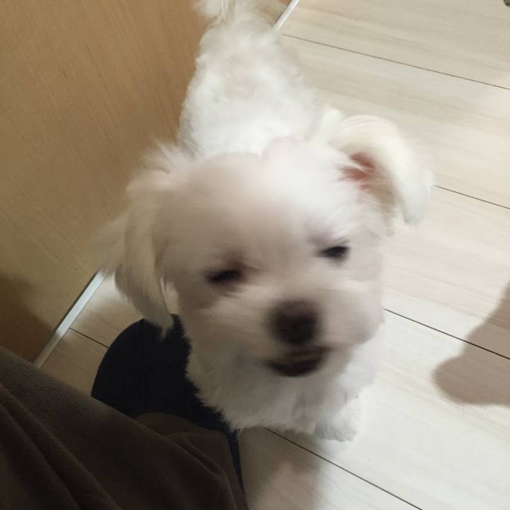 Cf28486b 6bf4 4ba9 a91d 10eb1e011c5b