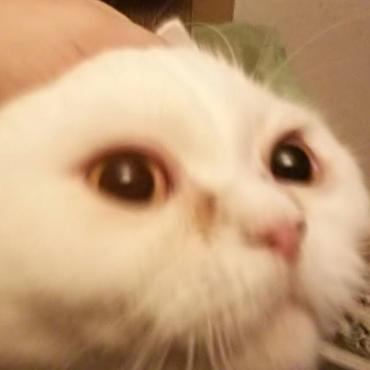 Cf284d33 6b3f 44b2 9009 3c41c1dd0b9f