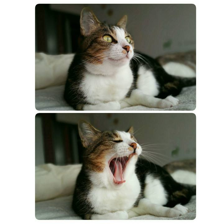 Cf28966a 53f7 4589 918f 5647f60de88a