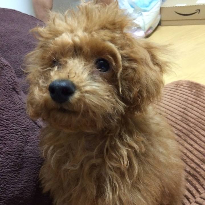 Cf28e724 0b19 43da 853e a62ea06a4986