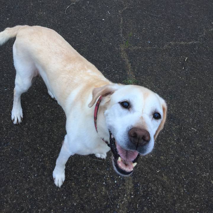 Cf2922f7 7dd4 4f8a b8c8 e52a4a5c23dc