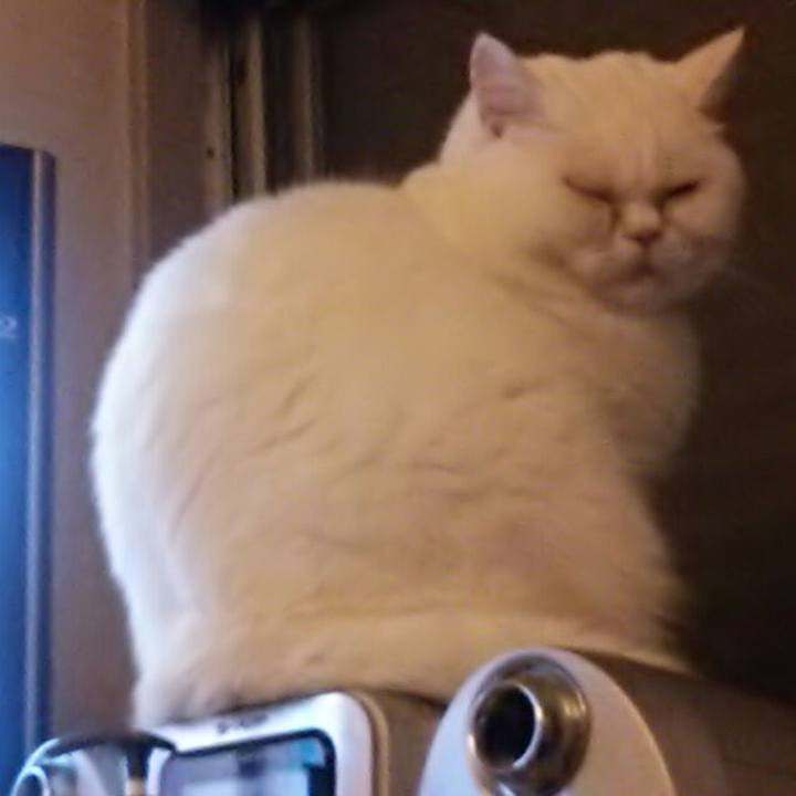 Cf292551 1edd 4429 956c bf143b3ee19e