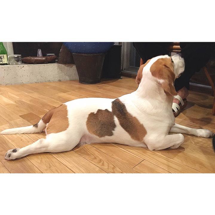 Cf293652 0b38 453d 933a 0efba11a4483