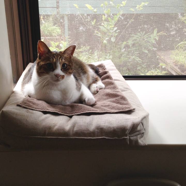 Cf2946f7 b27e 44a2 8d97 eb6f5a5f3ad0