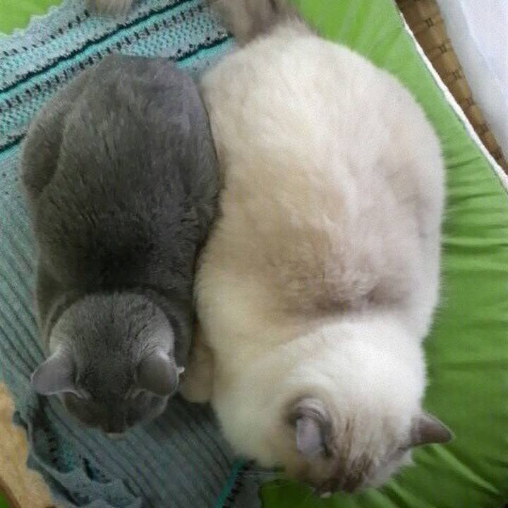 Cf29db5f 9b27 40bc 9503 a0c994a0b17a