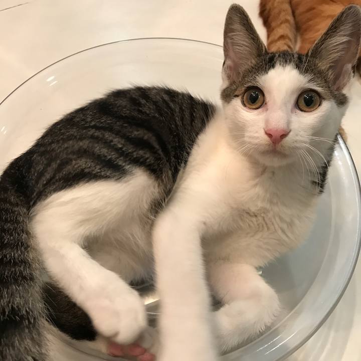 Cf2a2a42 9ffc 4f2d a376 b871f7af47fb