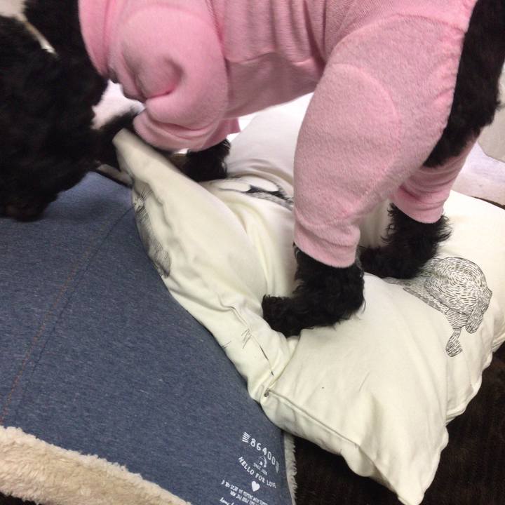 Cf2a720a 216d 4573 bda7 cc0cec736619