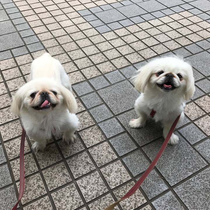 Cf2ac8f9 84b6 46f2 95da 3958f1082d91