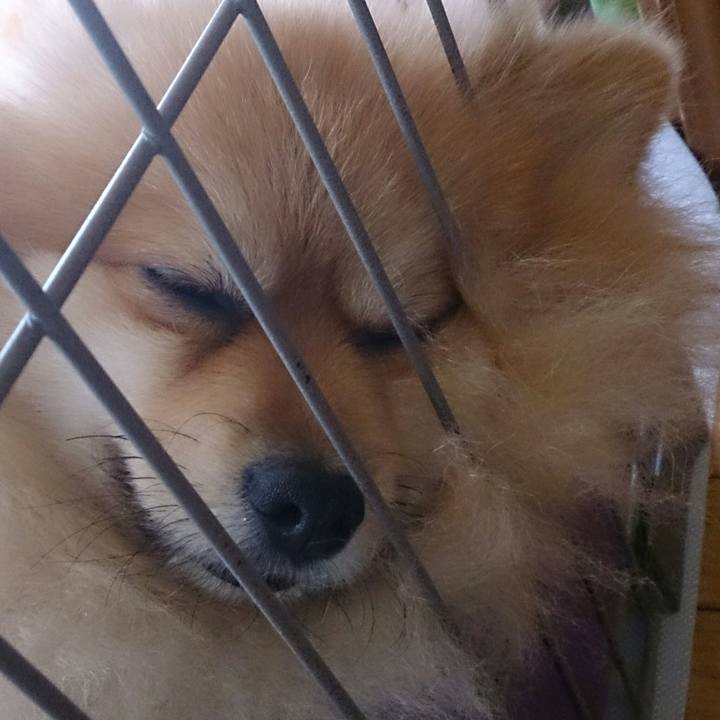 Cf2bbc79 a191 4eff a29a aa96a32e6820