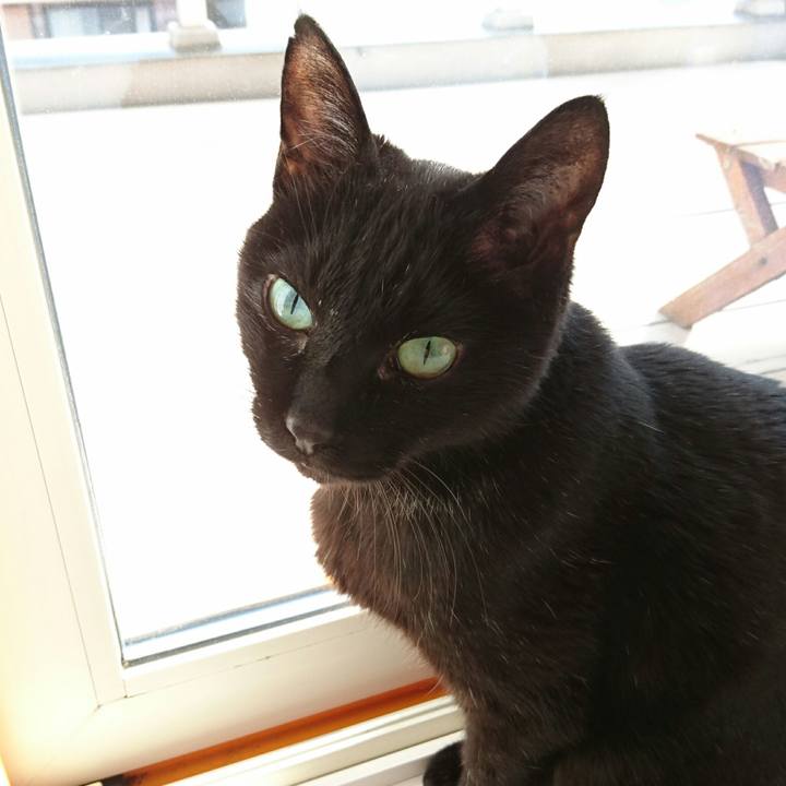 Cf2c073b f26e 4b10 ad55 52c793f849c7