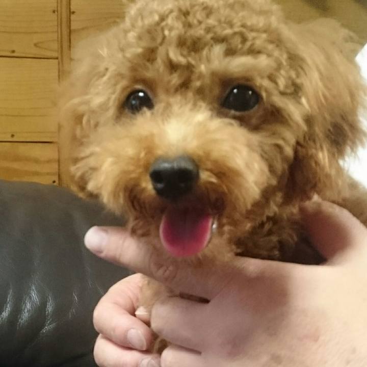 Cf2c6366 0fb6 44df 8385 d5e70273eab6