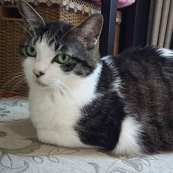 Cf2cd375 b396 446a b5c3 d4f102e85ec0