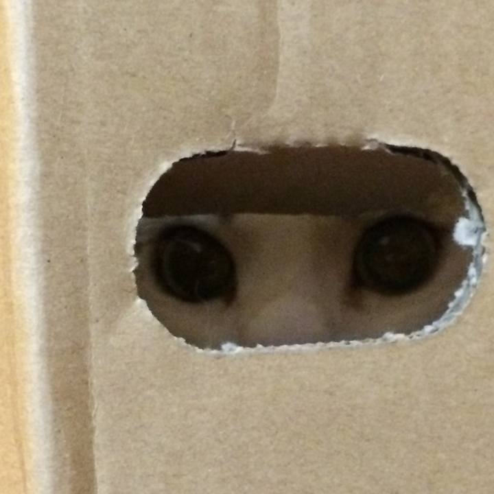 Cf2cf64b b16a 4ece ab26 a350638f2820