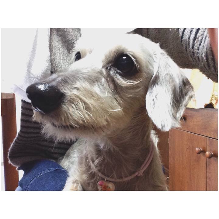 Cf2d11e5 d5e9 4213 90a9 df341c9aa047