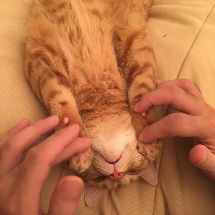 Cf2d2147 a161 40e3 822c a068229dea41