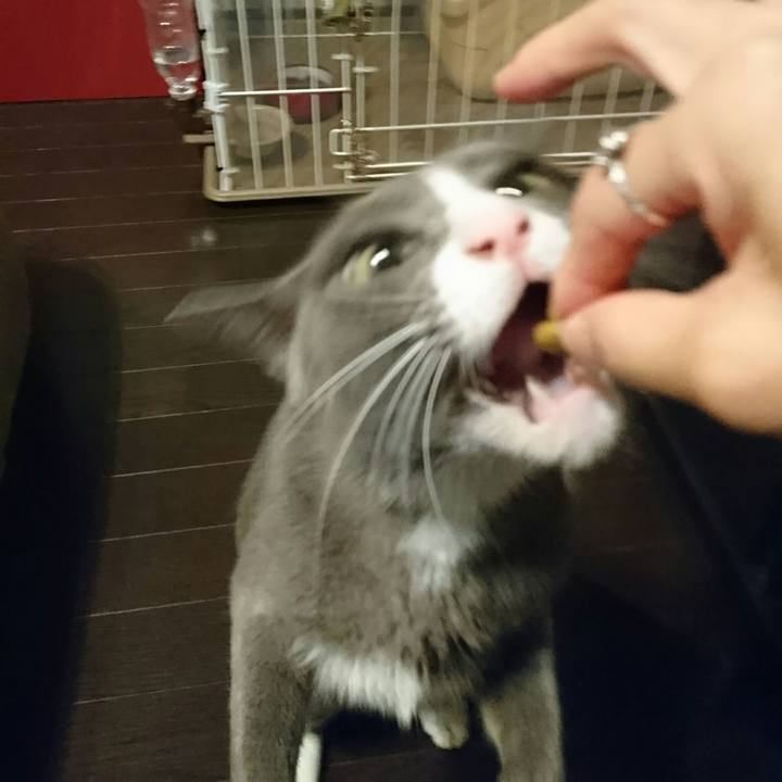 Cf2d9097 08c0 4977 95d4 ef51778461a9