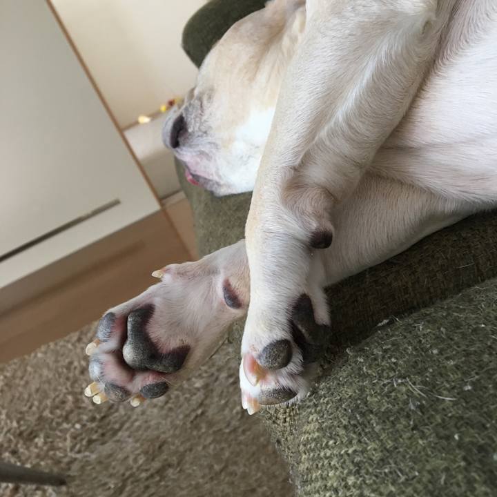 Cf2e310c 14e6 42b5 b66b cfdf4c88ff8b