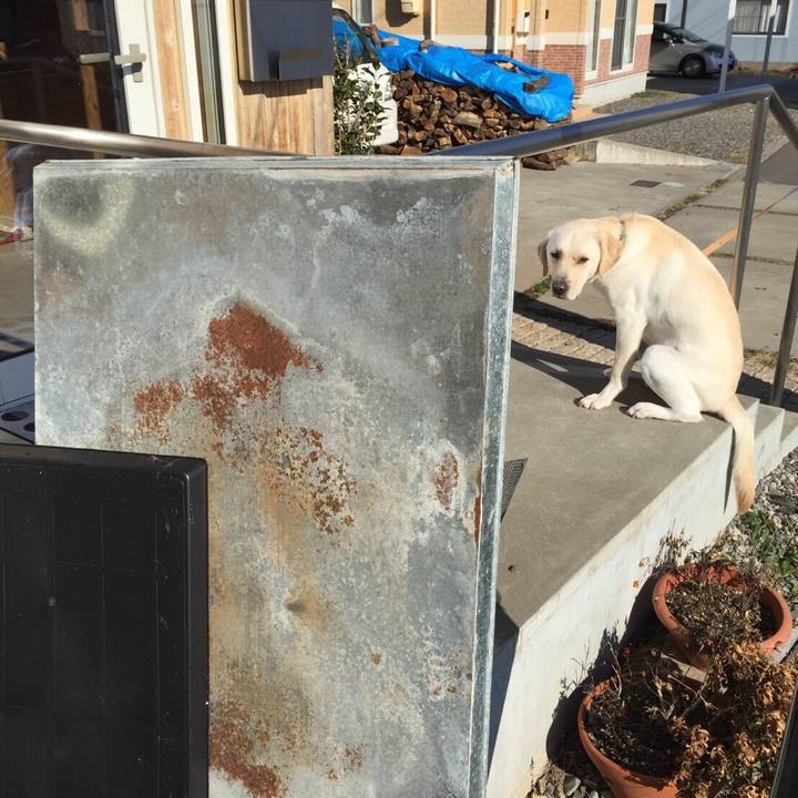 Cf2e51b3 a94f 466b 8dc0 71c5e30dded4