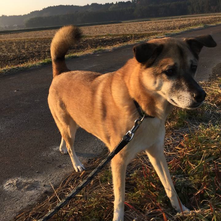 Cf2eeadd d2cc 42ed a345 3aa2503dee9d