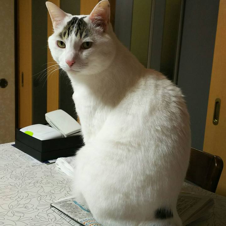 Cf2f9706 ca86 4e92 ac09 68dae5c3f263