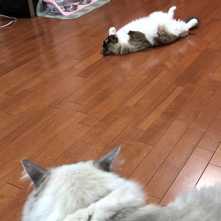 Cf304c90 a188 47e9 b138 97dad7b3f4cb