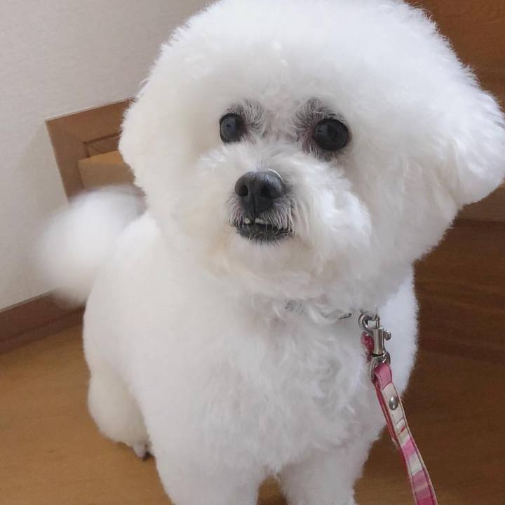 Cf3072f8 789b 4de7 a814 87eca311ce42