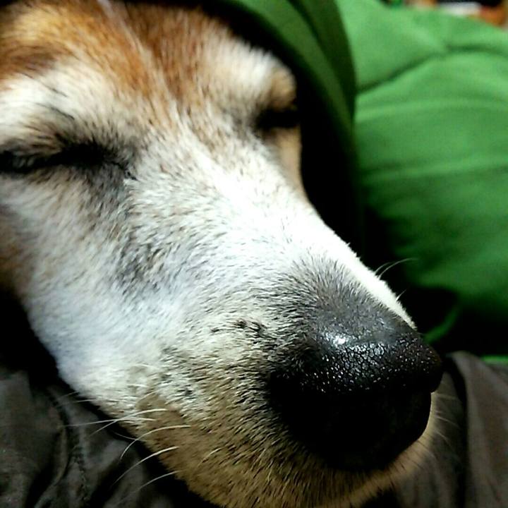 Cf31254d 2d7e 4645 85e3 f2295d5f75c8