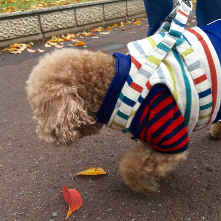 Cf318004 39fe 41e8 9b26 52ab9d4142db