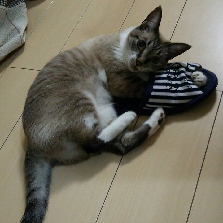 Cf32ad30 ef7c 4122 a1b1 c8d7b7f1f392