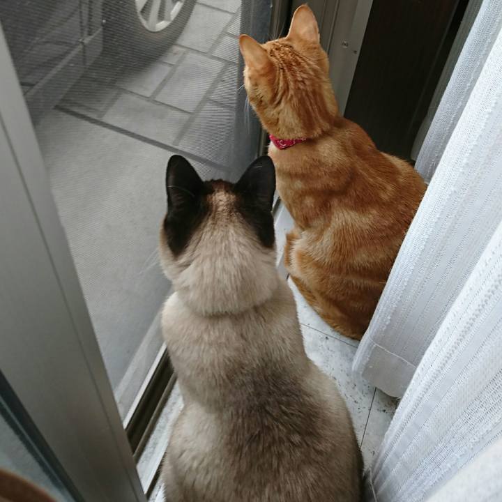 Cf32bd15 eb86 492d 9041 efb12ddcabe3