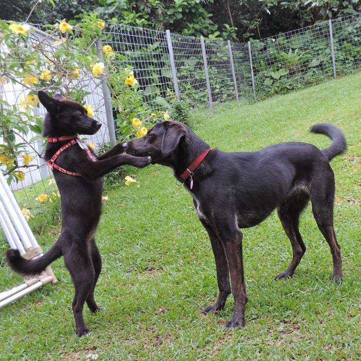 Cf32fe07 454c 43c0 abc9 13e42b9ac690