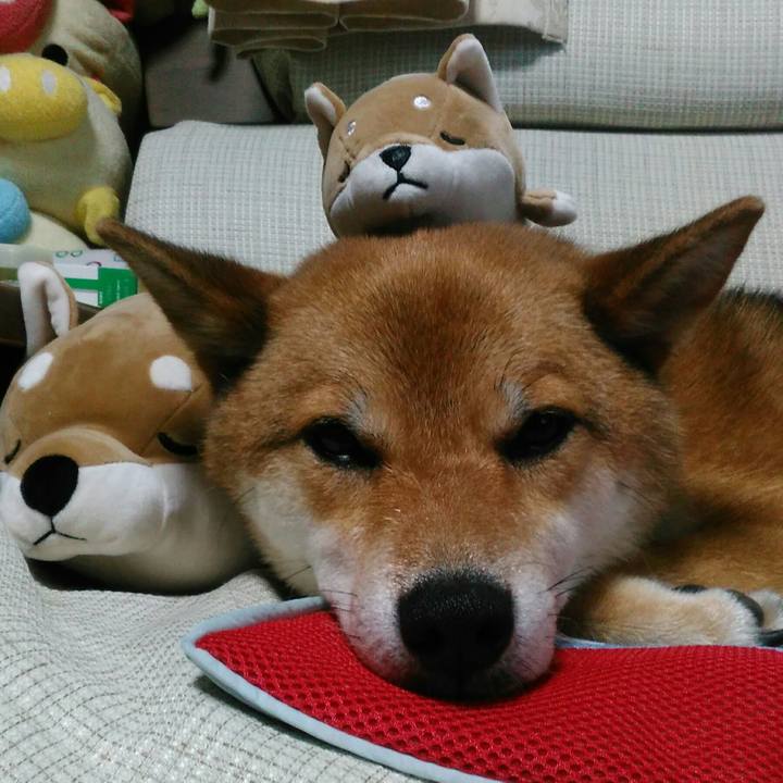 Cf33cb56 9f08 46c4 85e0 eb22f9bfc40f