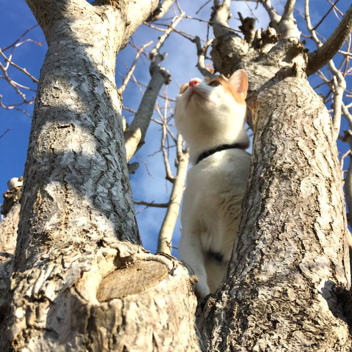 Cf34c0fa efea 46c8 830b 3502db2828a2