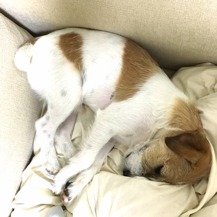 Cf353053 8232 4789 a9d6 69a3af5b108c