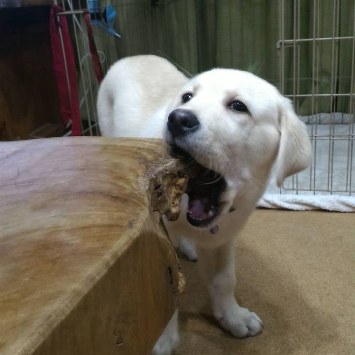 Cf35779a cd1d 47a4 af55 00fd77877dc1