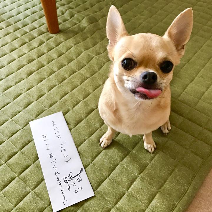 Cf359473 5e47 40e8 93a7 5681791b039b