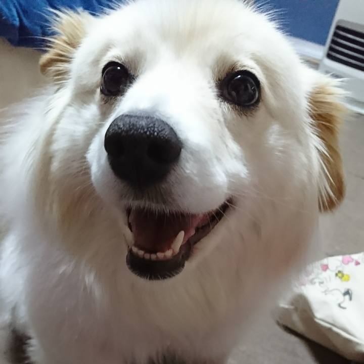 Cf362be9 1cef 4326 a0bd 554e88df01de