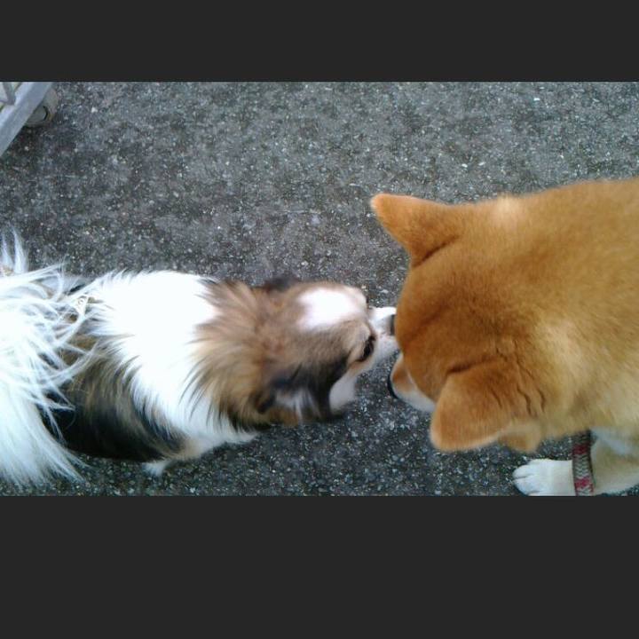 Cf368580 92e7 4961 aea9 a2dc48ebe59f