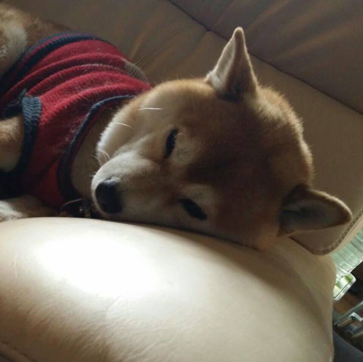 Cf369624 aa06 40d2 bc6f 9932d0a36f8c