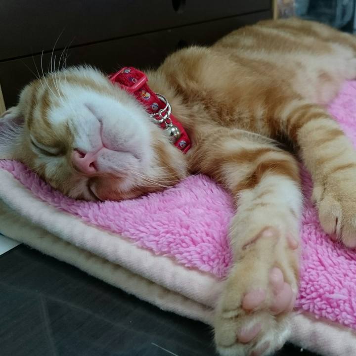 Cf370781 f7a1 4702 9791 c8456e2707bc