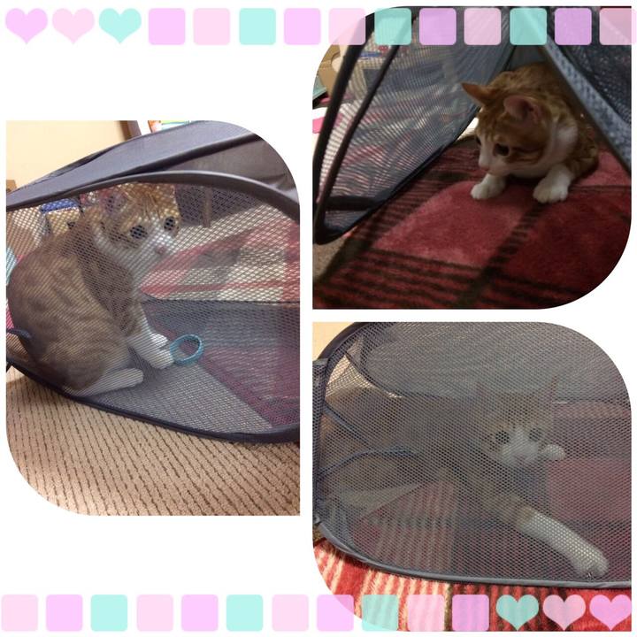 Cf375727 0f06 4e67 90ad 49c9f988cdc0