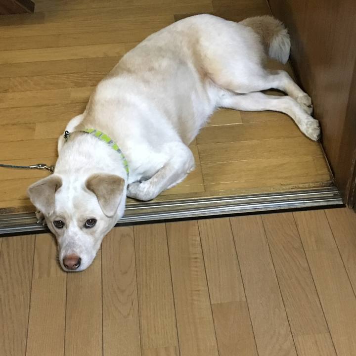 Cf377d0d 24f9 41dc ac98 c1121084281d