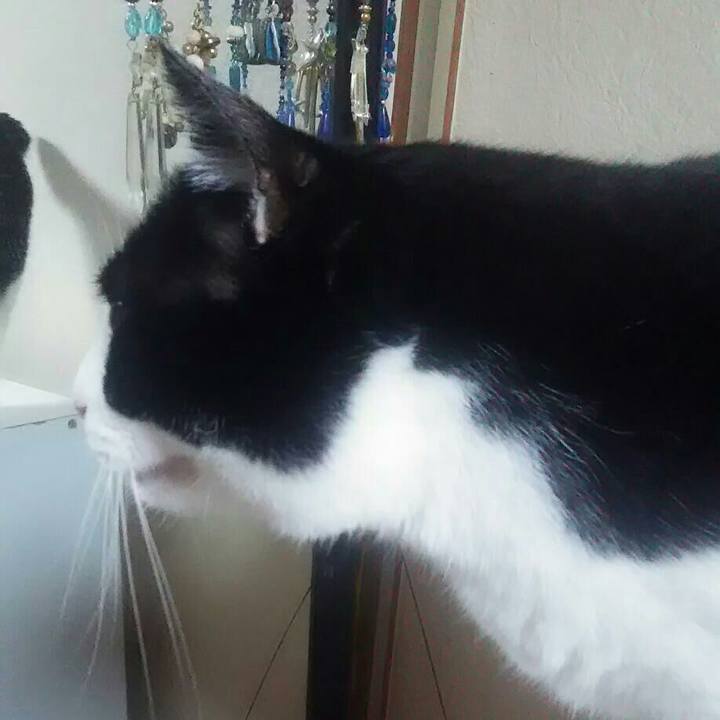 Cf3797e2 2b4b 4689 91bc f6aa8503d8a8