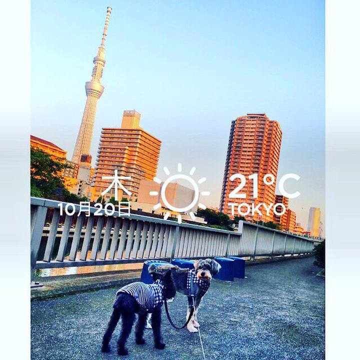 Cf37da0f f027 44b1 a1cb 2d83136a6edf