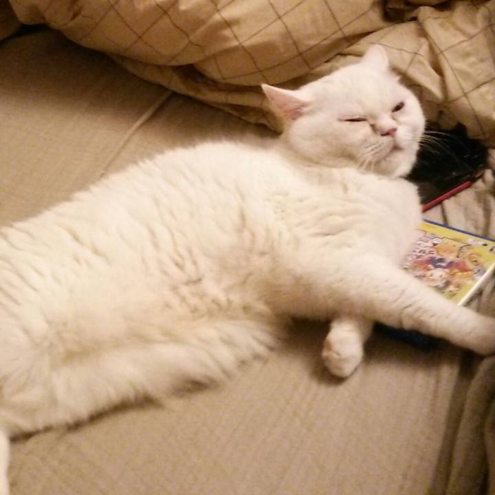 Cf38d136 f9d6 4cd8 a1a2 2825f56b7ec0