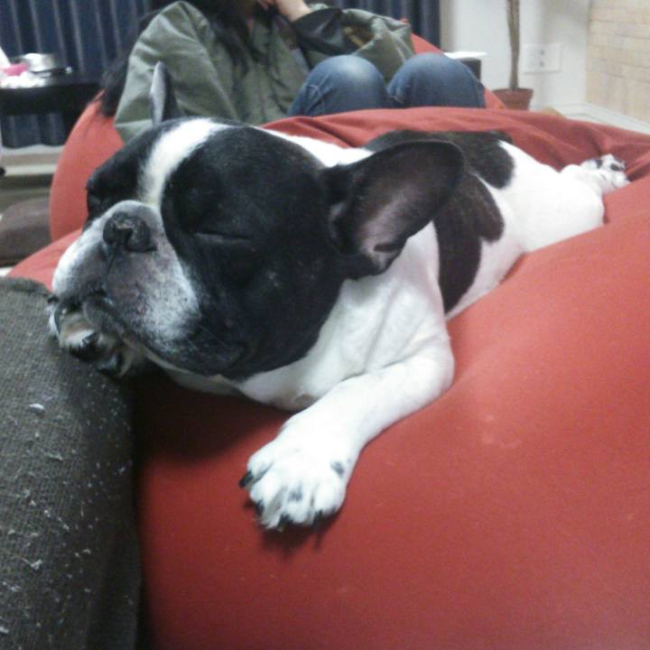 Cf38d486 28c2 4619 bef1 241cc99d416a