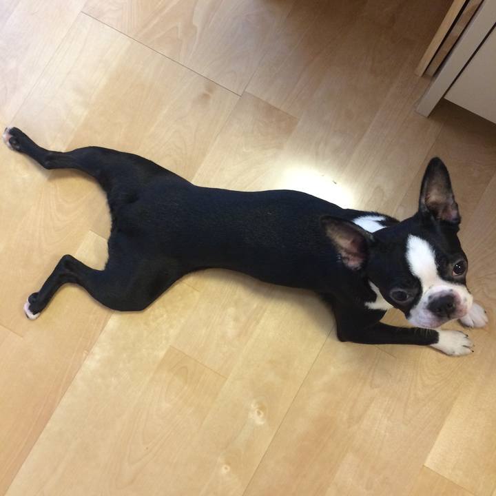 Cf396bb8 7398 4306 9c09 05eb8f0610ad